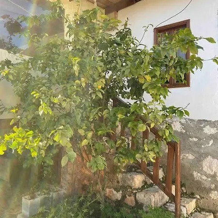 Bayraktar Koy Evi Demre