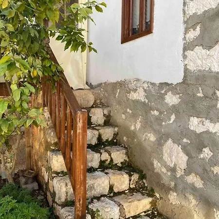 Bayraktar Koy Evi *